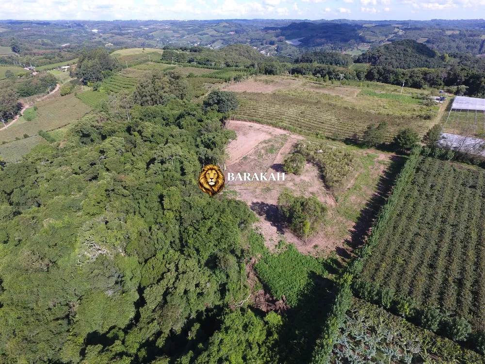 Terreno, 2 hectares - Foto 7