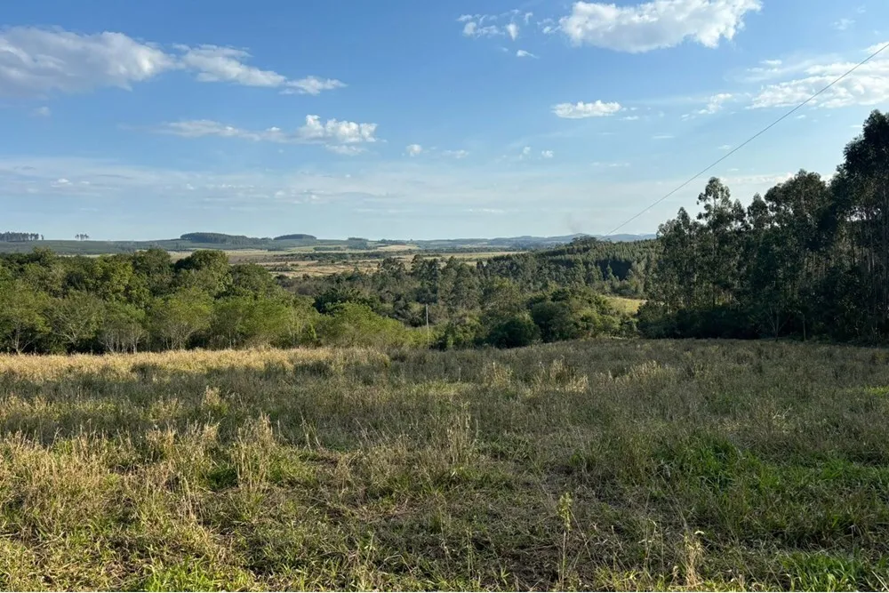Fazenda, 56 hectares - Foto 5