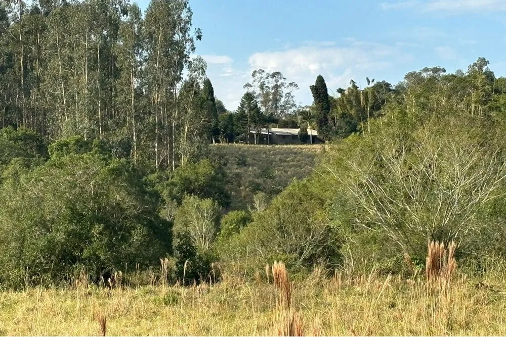 Fazenda, 56 hectares - Foto 7