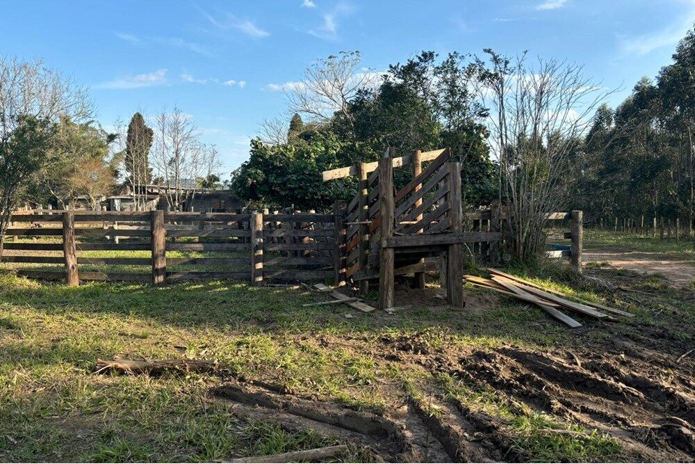 Fazenda, 56 hectares - Foto 1