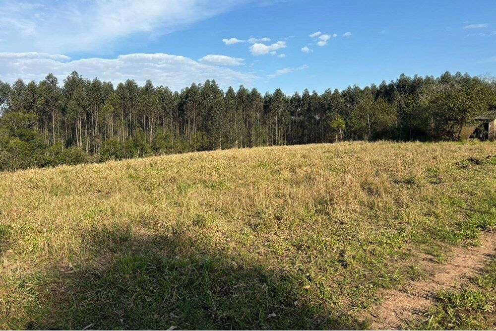 Fazenda, 56 hectares - Foto 2