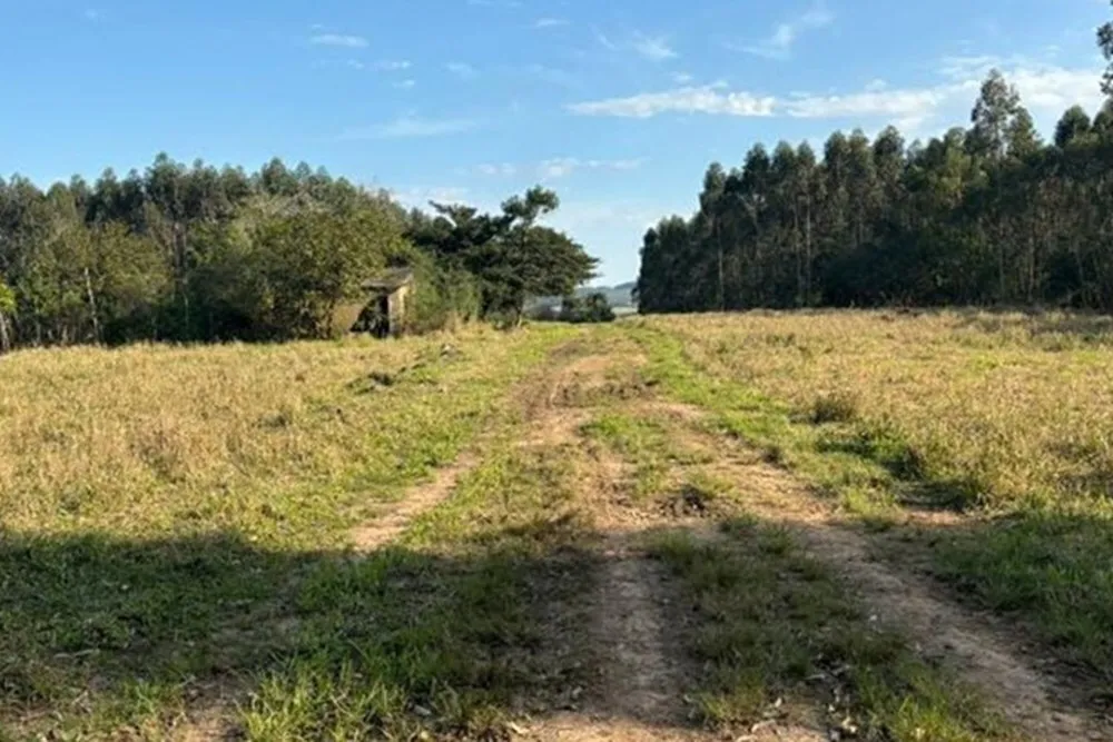 Fazenda, 56 hectares - Foto 8