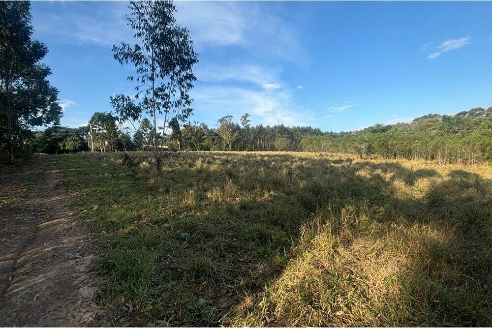 Fazenda, 56 hectares - Foto 4
