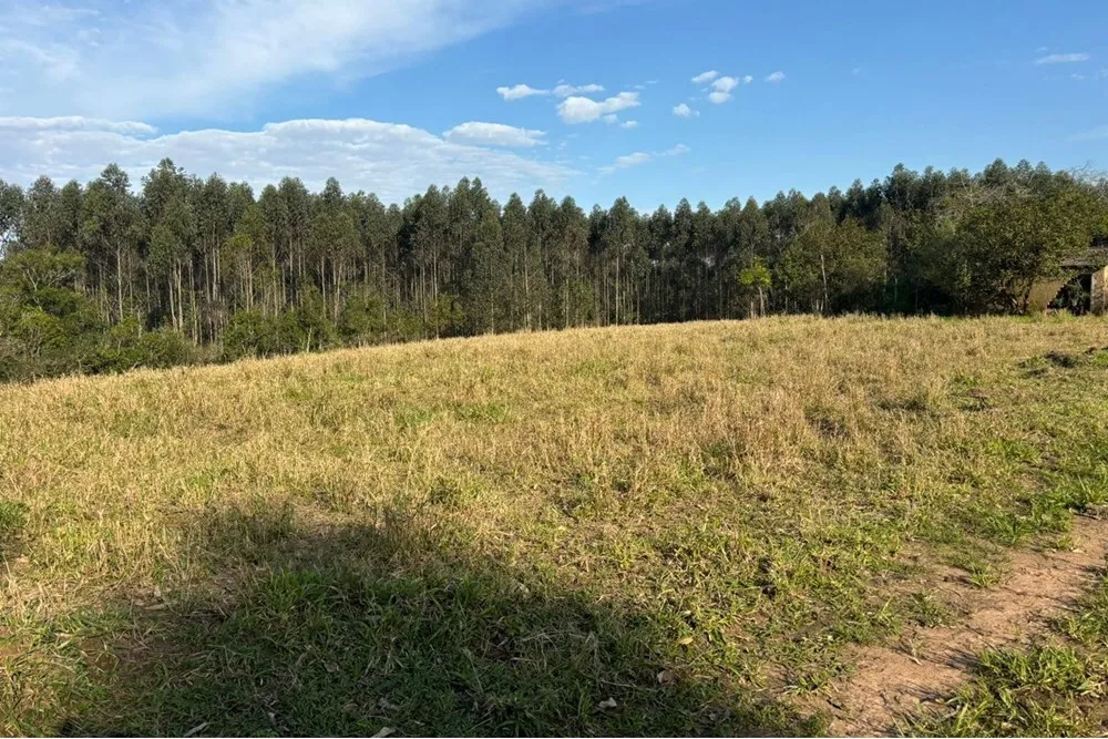 Fazenda, 56 hectares - Foto 6