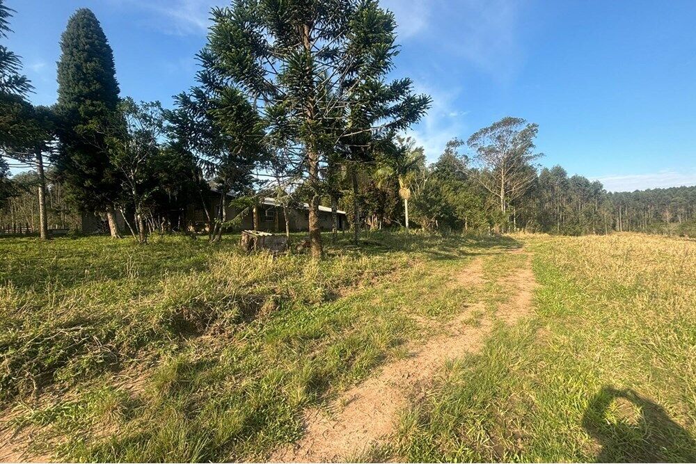 Fazenda, 56 hectares - Foto 3