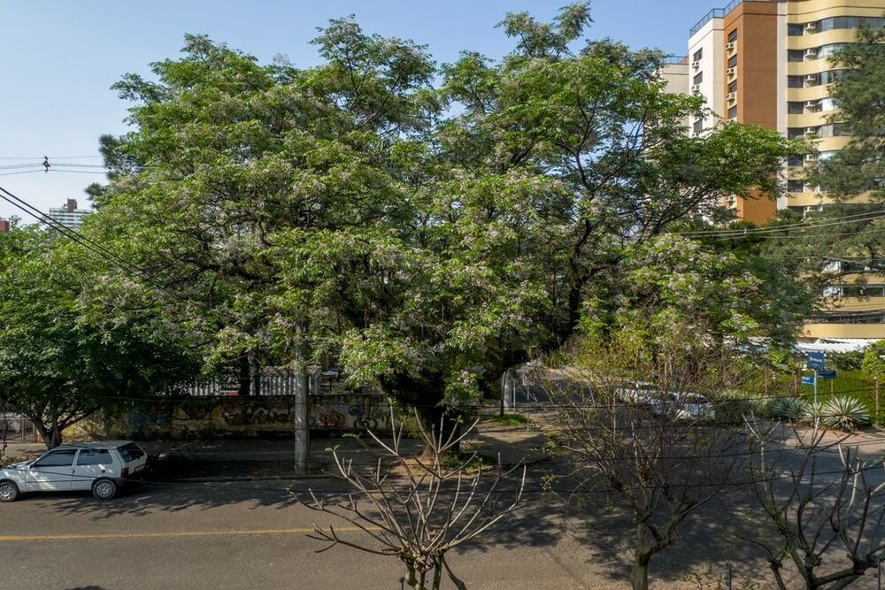 Casa, 3 quartos, 285 m² - Foto 3