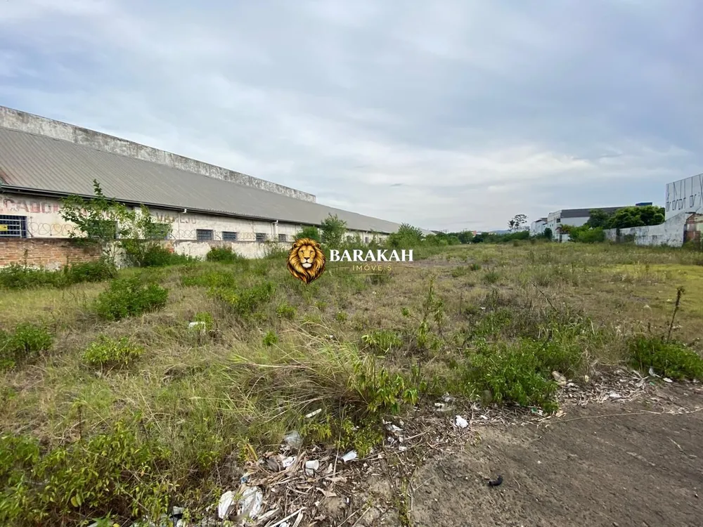 Terreno, 4785 m² - Foto 6