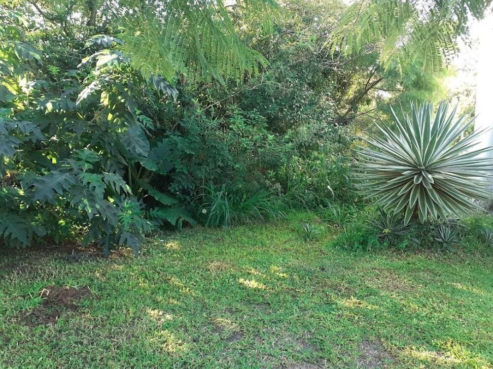 Terreno, 485 m² - Foto 4