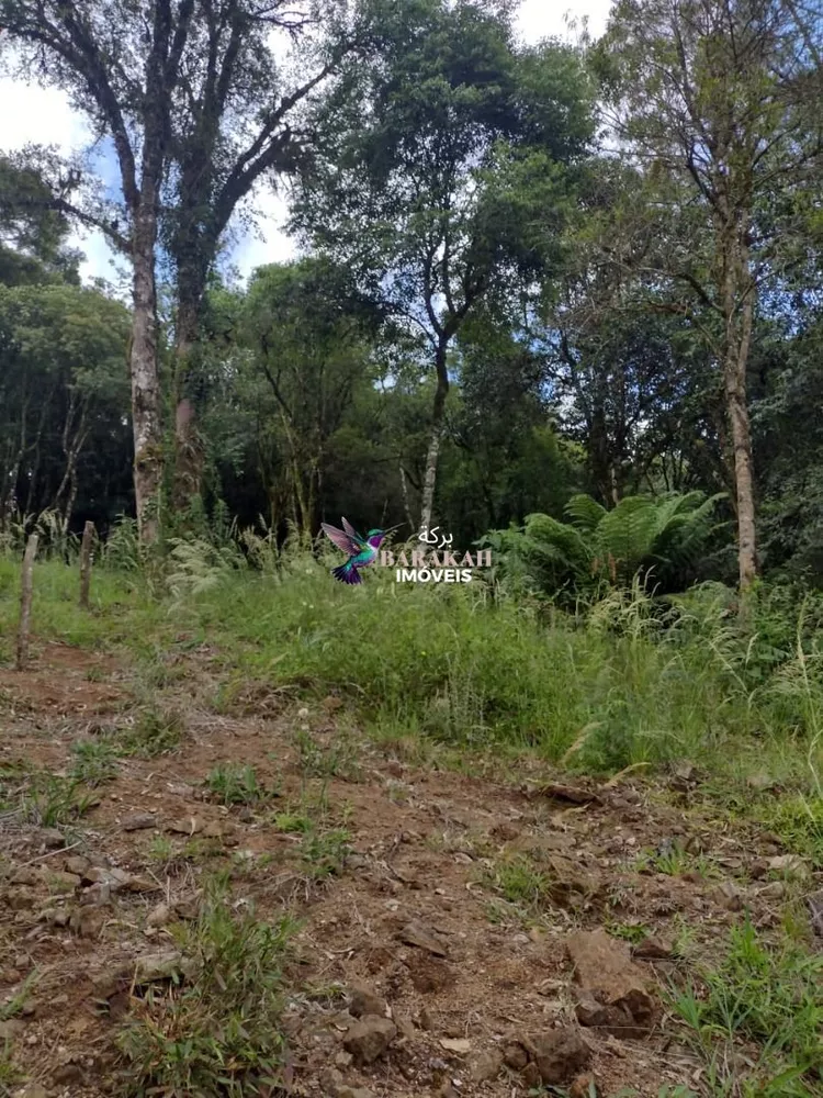 Terreno, 611 m² - Foto 3