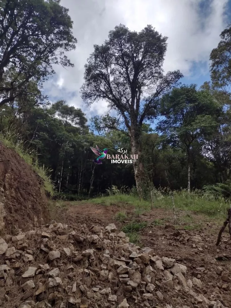 Terreno, 611 m² - Foto 1