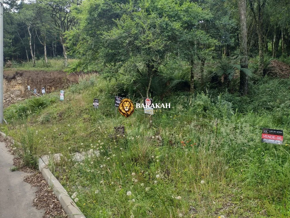 Terreno, 611 m² - Foto 8