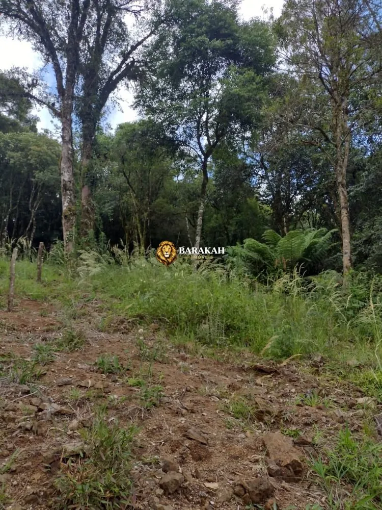 Terreno, 611 m² - Foto 12