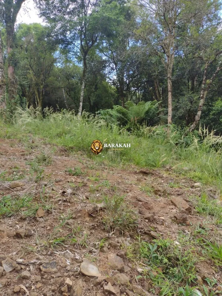 Terreno, 611 m² - Foto 7