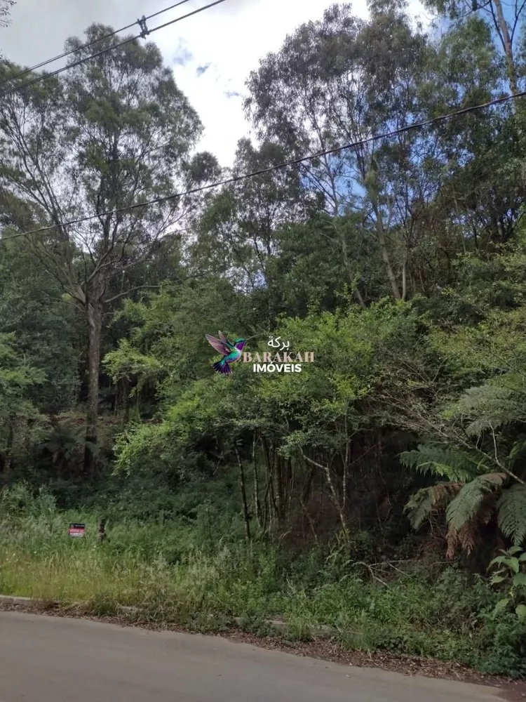 Terreno, 611 m² - Foto 4