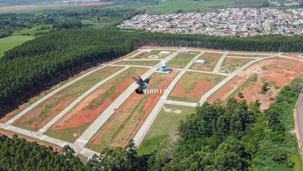 Terreno à venda, 230m² - Foto 4