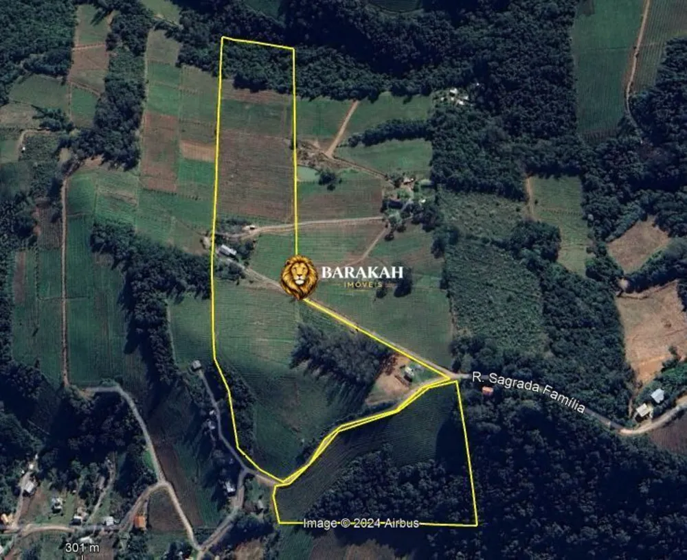 Sítio, 12 hectares - Foto 1