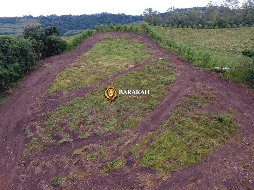 Sítio, 12 hectares - Foto 11
