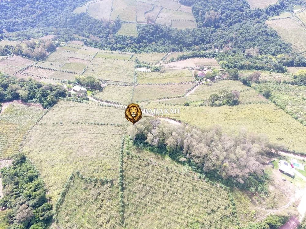 Sítio, 12 hectares - Foto 4