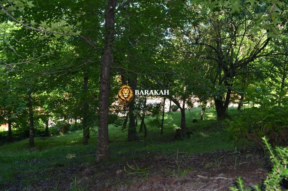 Terreno, 9 hectares - Foto 6