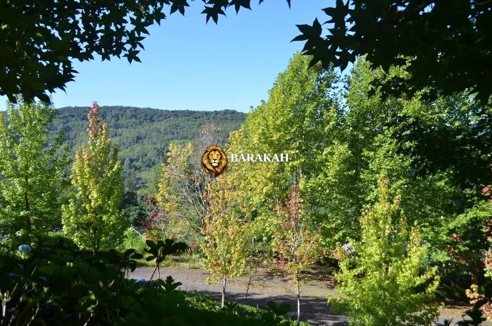 Terreno, 9 hectares - Foto 4