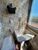 Apartamento, 1 quarto, 67 m² - Foto 2