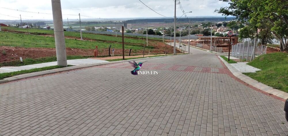Terreno, 250 m² - Foto 1