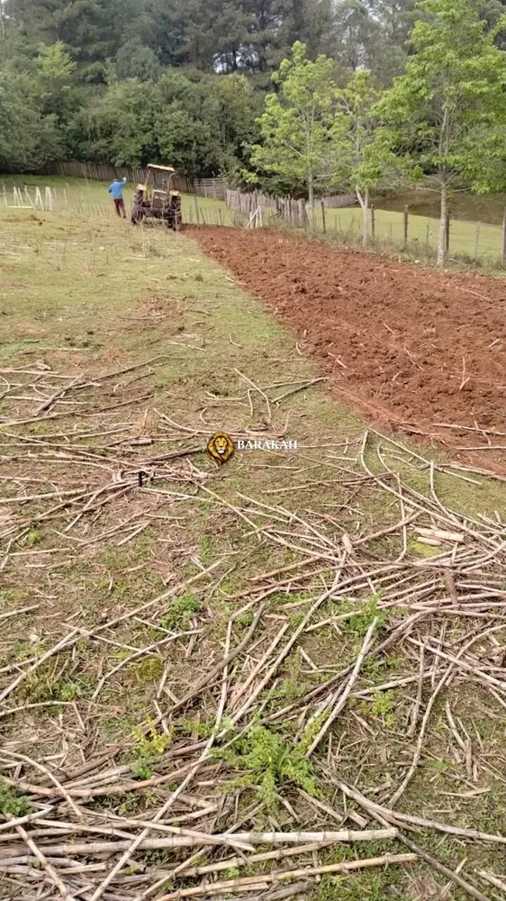 Terreno, 1 hectares - Foto 4