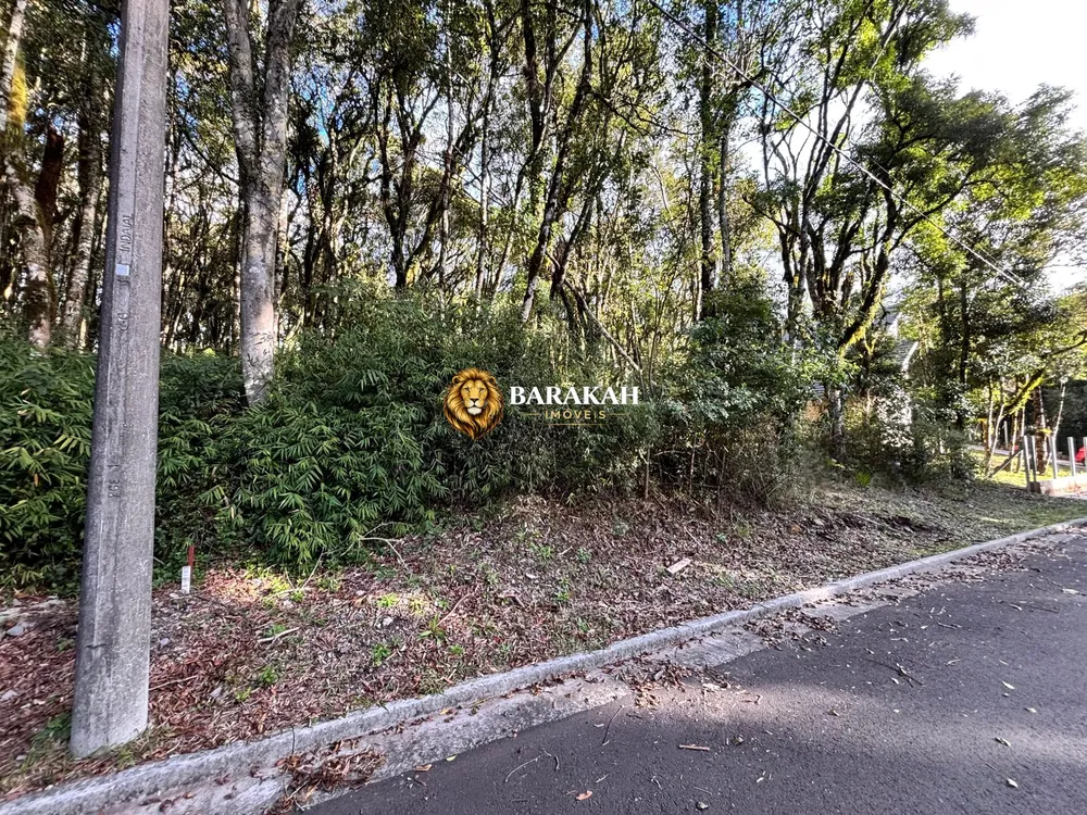 Terreno, 805 m² - Foto 2