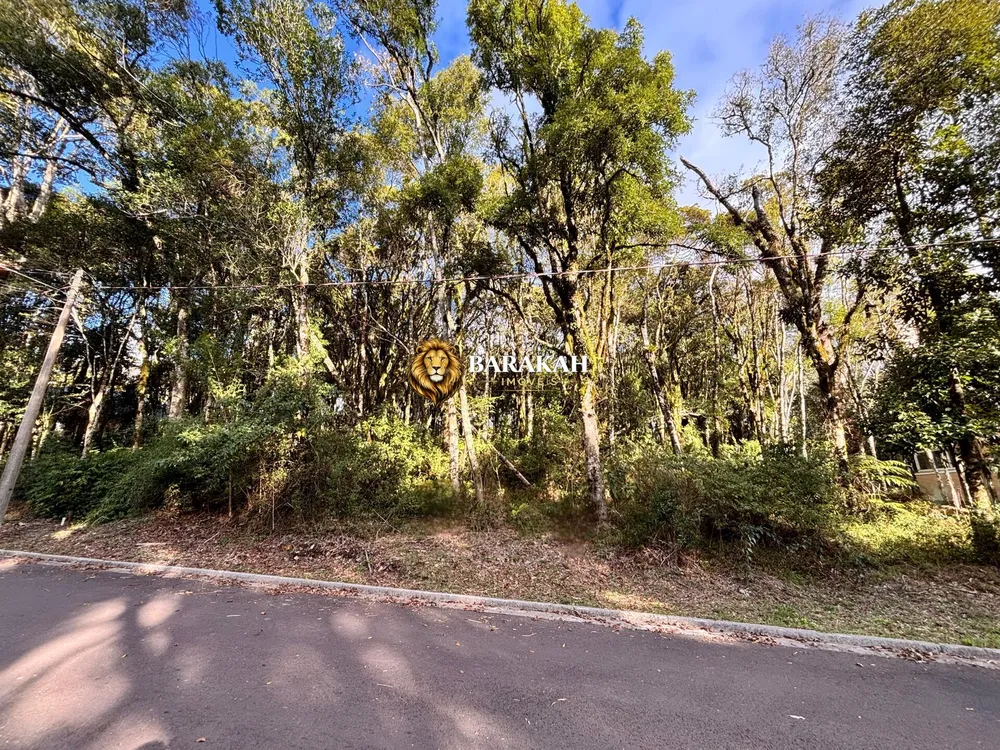 Terreno, 805 m² - Foto 5
