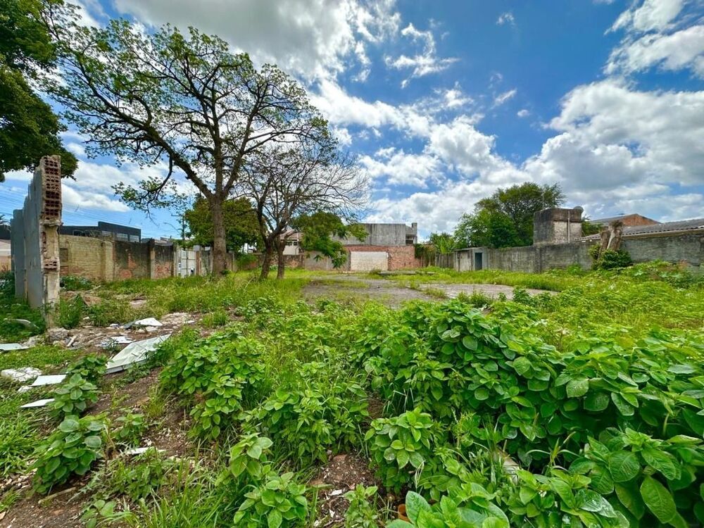 Terreno à venda, 1564m² - Foto 4