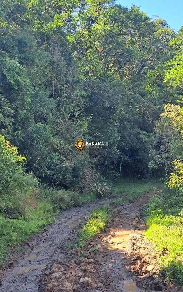Sítio, 27 hectares - Foto 4