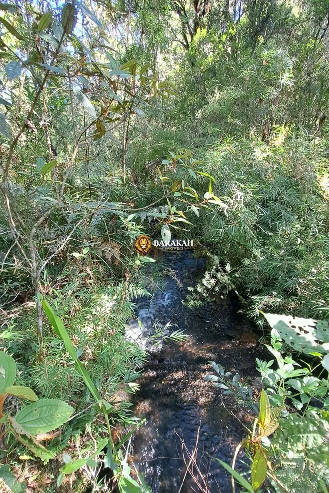 Sítio, 27 hectares - Foto 7