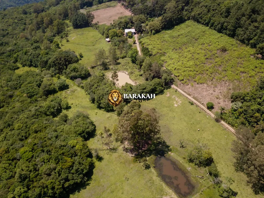 Sítio, 2 hectares - Foto 4