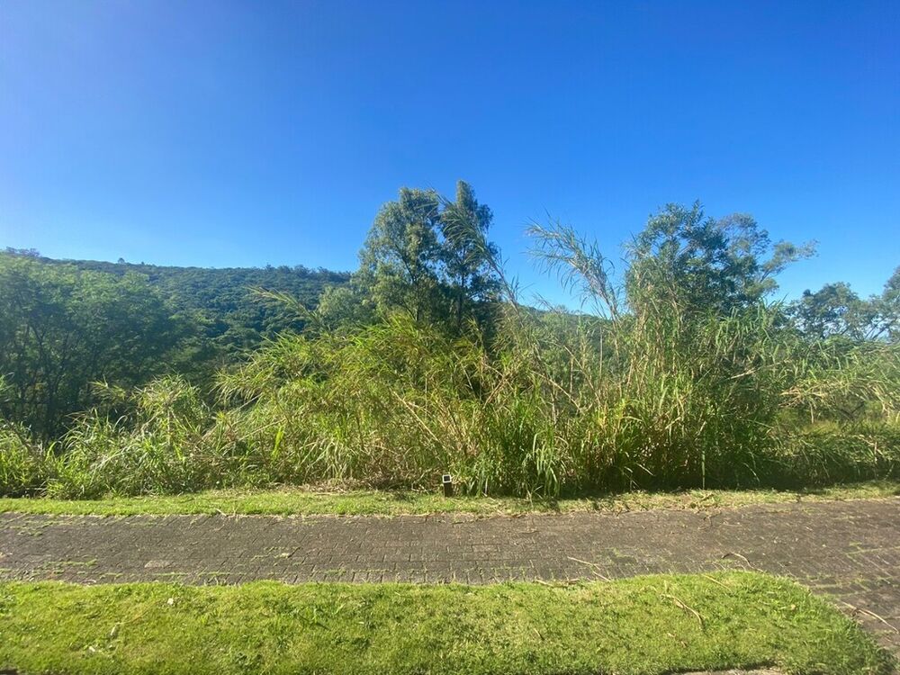 Terreno à venda, 1005m² - Foto 5