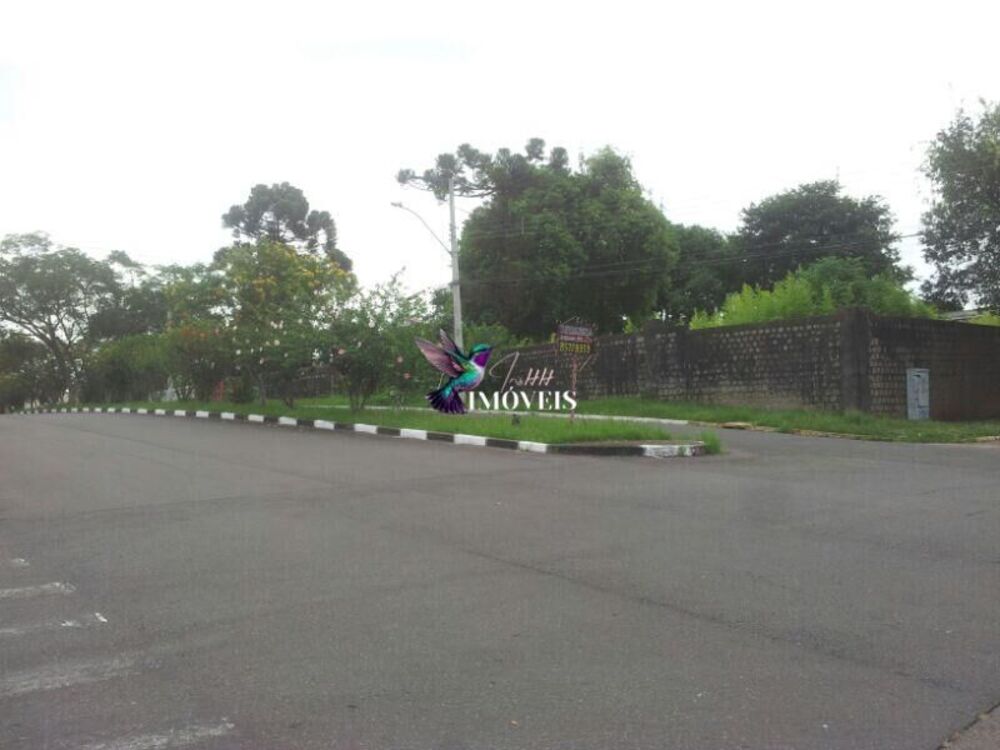 Terreno, 1980 m² - Foto 4