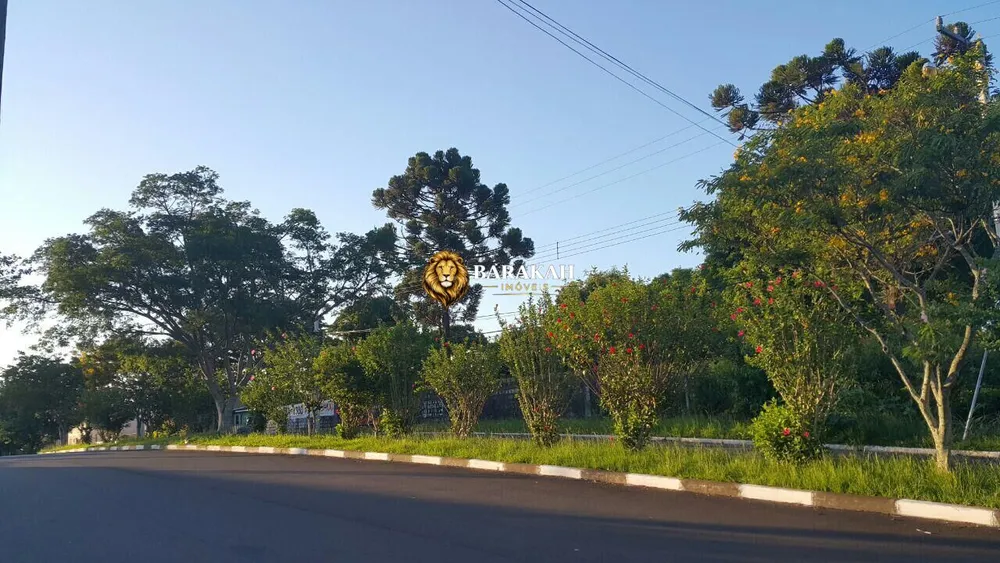 Terreno, 1980 m² - Foto 6