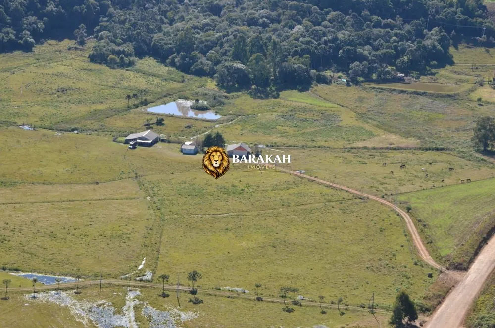 Fazenda, 13 hectares - Foto 2