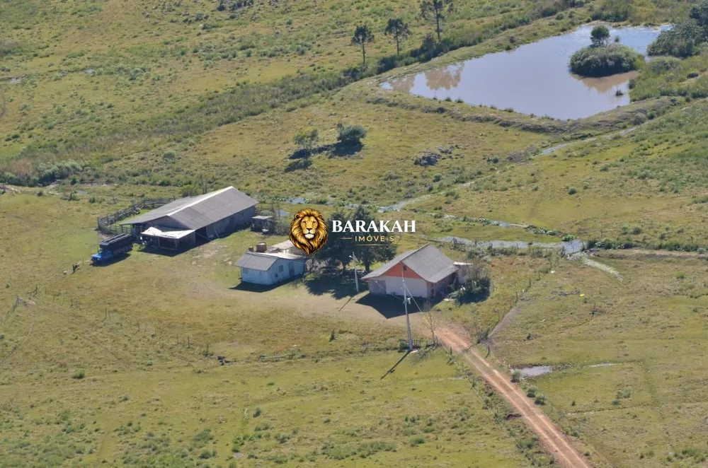Fazenda, 13 hectares - Foto 4