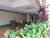 Apartamento, 1 quarto, 42 m² - Foto 14