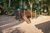 Terreno, 1000 m² - Foto 4