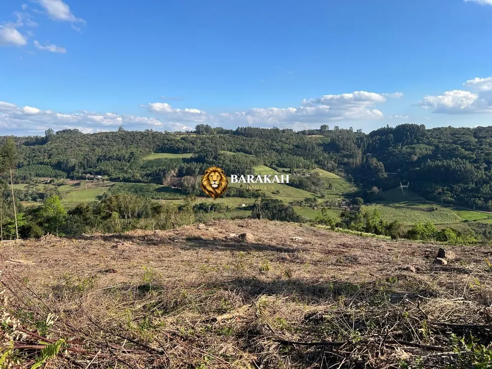 Chácara, 2 hectares - Foto 8