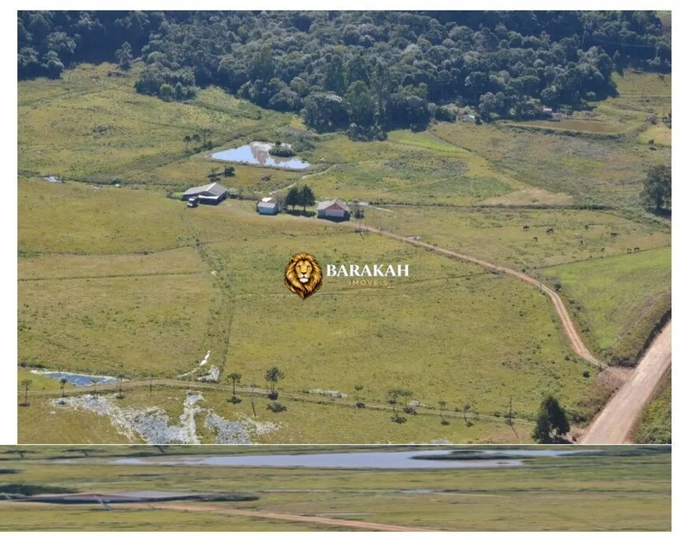 Fazenda, 13 hectares - Foto 2