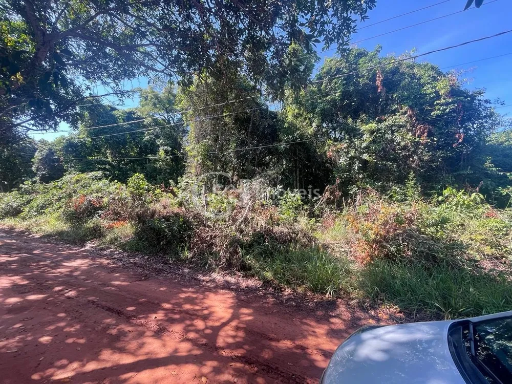Chácara, 10000 m² - Foto 8