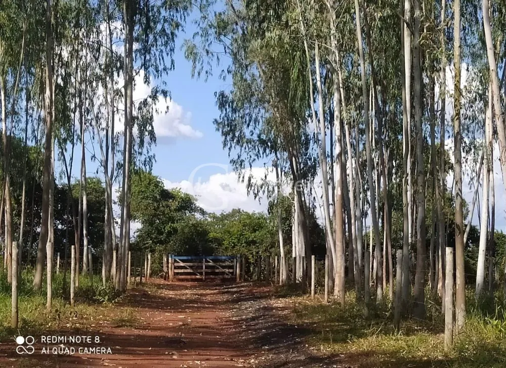 Chácara, 6 quartos - Foto 2