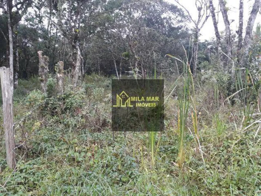 Terreno, 1330 m² - Foto 3