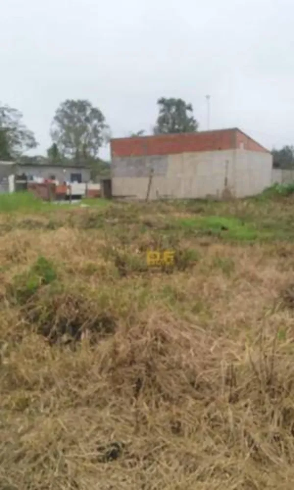 Terreno, 250 m² - Foto 4
