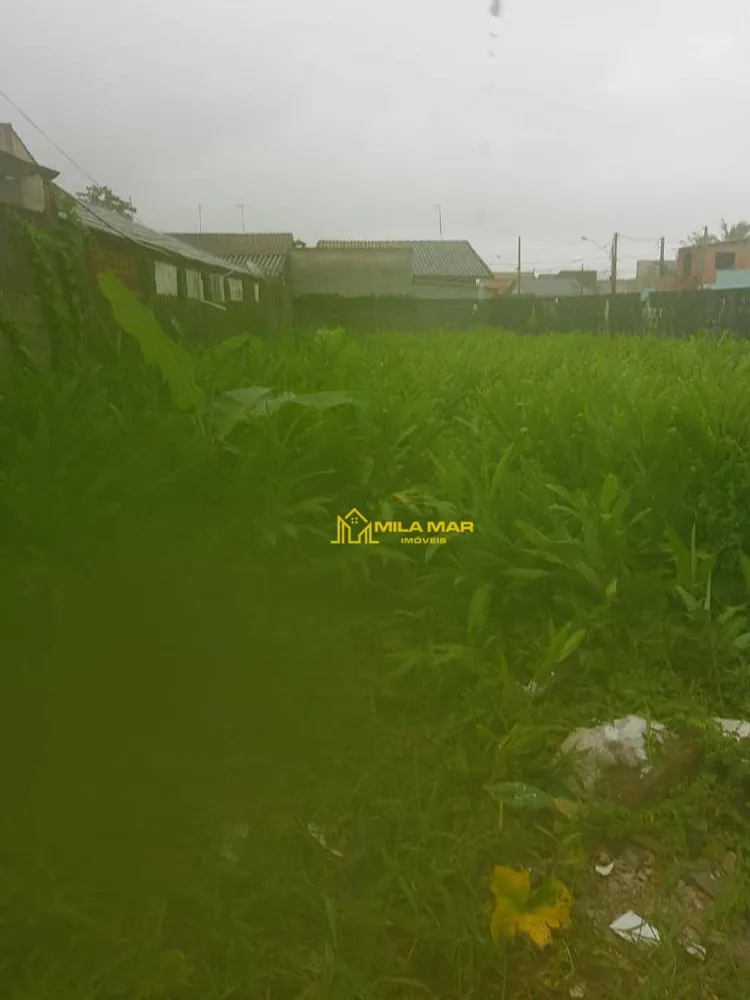 Terreno, 318 m² - Foto 1