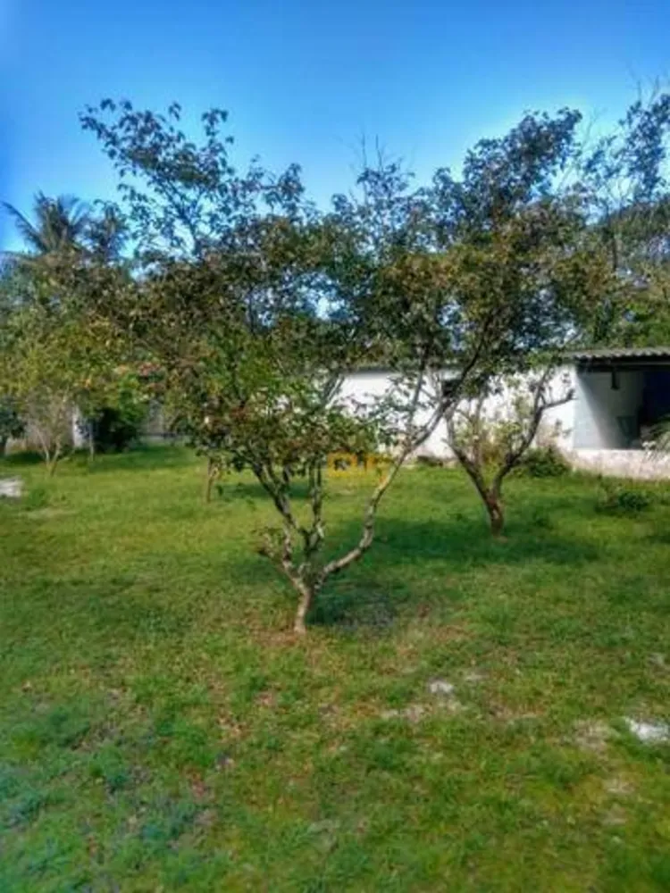 Chácara, 2 quartos, 1600 m² - Foto 4