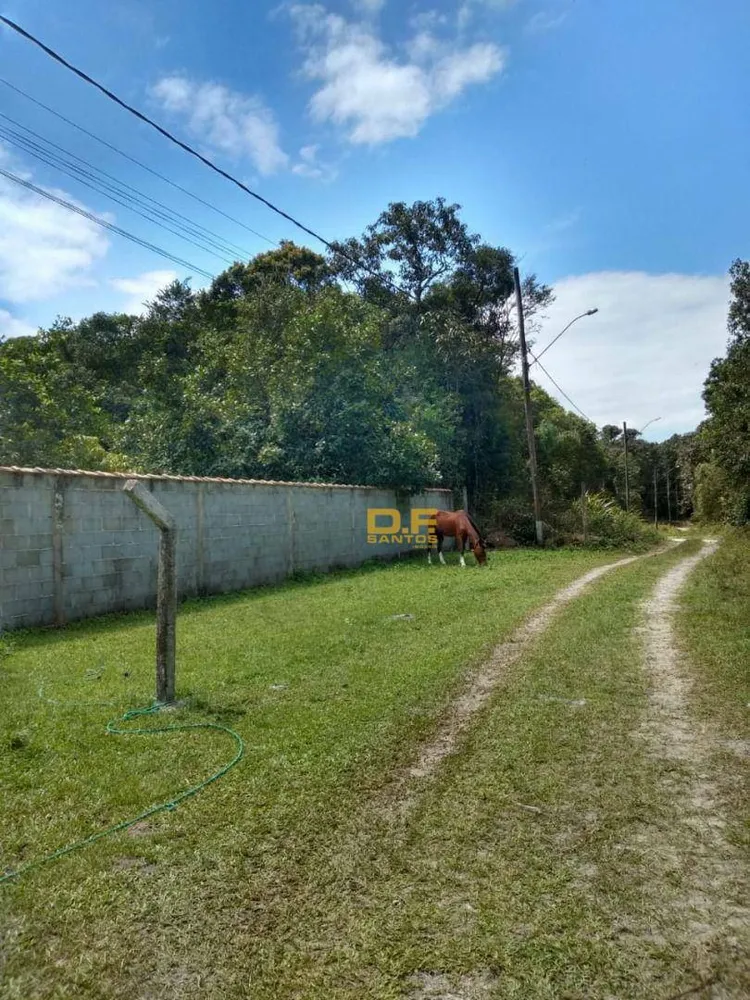 Chácara, 2 quartos, 3812 hectares - Foto 3