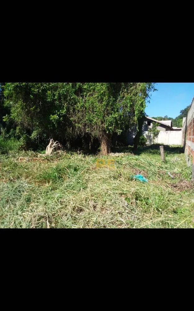 Terreno, 250 m² - Foto 4